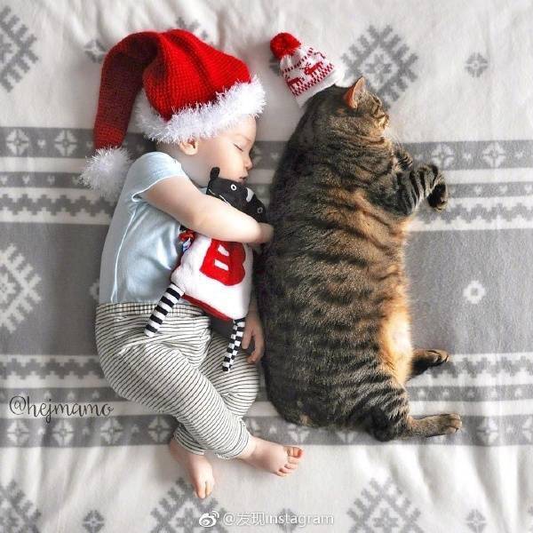 아기와 돼냥이 | 인스티즈