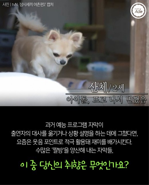 나의 예능 자막 취향은?.jpg | 인스티즈