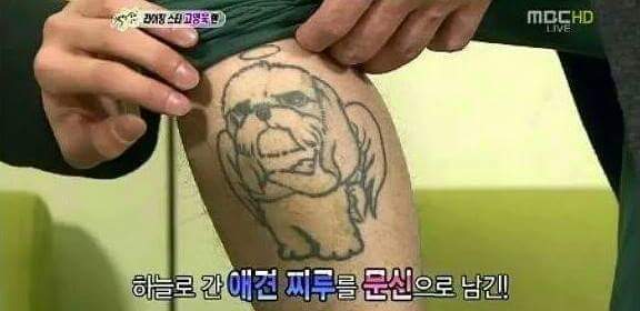 자기의 애견을 몸에 문신으로 새긴 연예인 | 인스티즈