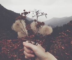 감성적인 손사진 모음 | 인스티즈