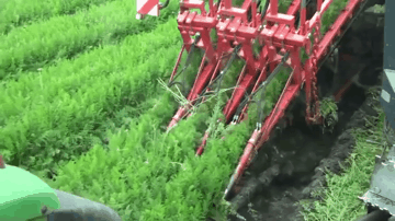 여자가슴크기의 비밀 | 인스티즈