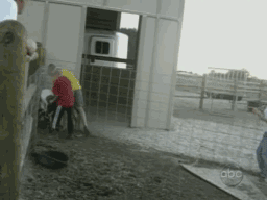 [데이터주의] 뜻밖의 시리즈 총정리 | 인스티즈