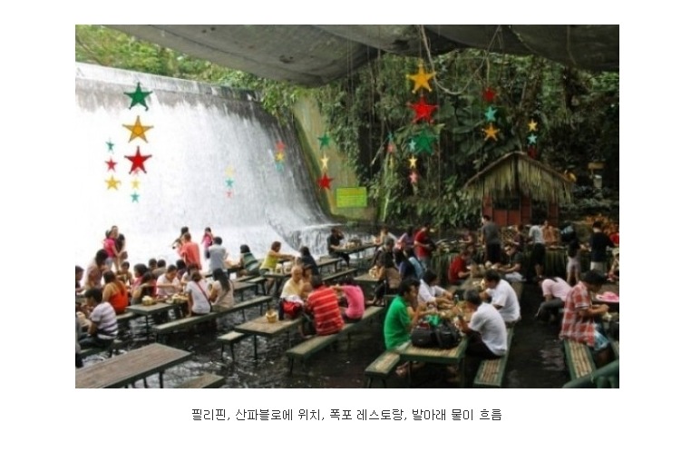 지구촌 특이한 레스토랑들.jpg | 인스티즈