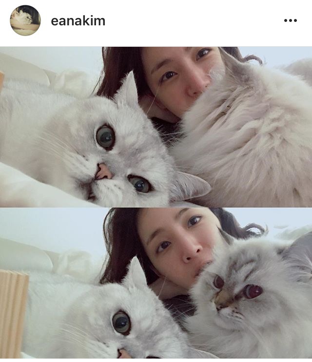 김이나 작사가 냥이 | 인스티즈