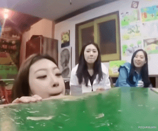 딱지 부는 소나무 움짤 | 인스티즈