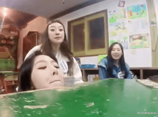 딱지 부는 소나무 움짤 | 인스티즈