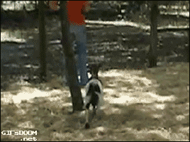 [데이터주의] 뜻밖의 시리즈 총정리 | 인스티즈