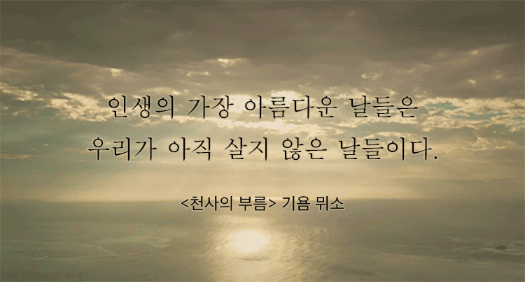 오랫동안 기억 되는 책 속의 문장들 | 인스티즈