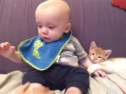 아기와 고양이.gif | 인스티즈