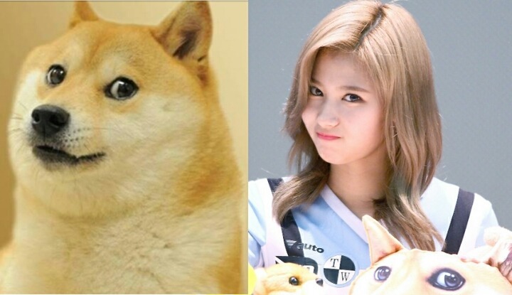 매력이 너무 많은 사나.gif | 인스티즈