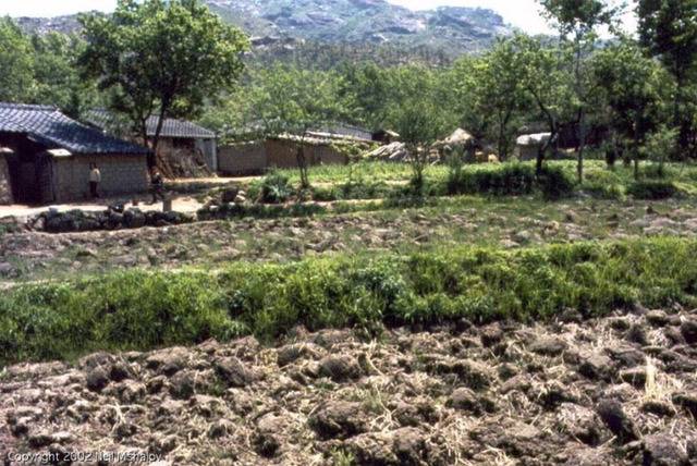 1969년 한국의 일상.jpg | 인스티즈