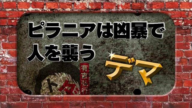 흉폭하고 사람을 씹어먹는 걸로 알려진 피라냐에 대한 진.실. 두둥 (일본예능캡쳐) | 인스티즈