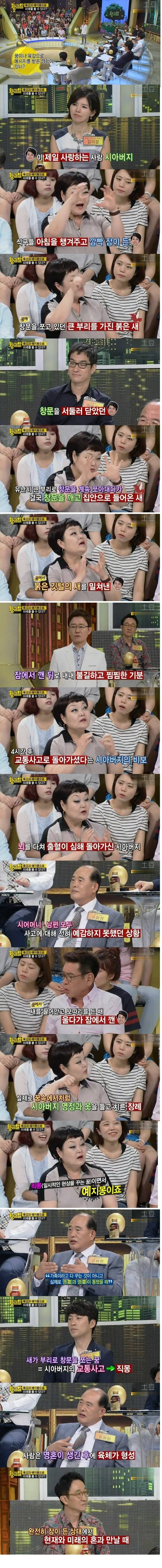 예지몽에 대한 전문가들의 의견 | 인스티즈