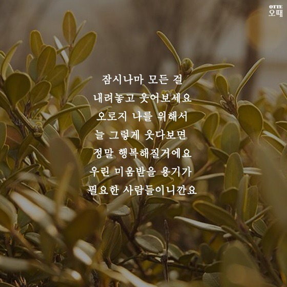 미움받을 용기조차 없는 당신을 위한 소소한 이야기 | 인스티즈