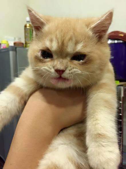 내가 한게 아니라고! | 인스티즈