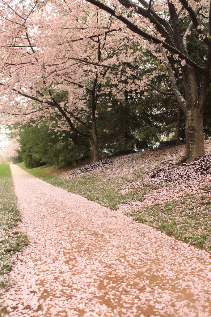 그는 거기에 잘 있다. 나는 여기에 잘 있다. 더 이상 우리가 아닌 우리 | 인스티즈