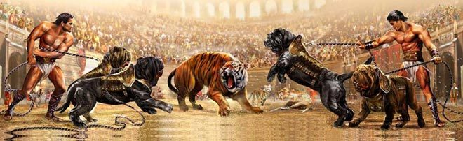 견종 이야기 - 케인 코르소 | 인스티즈