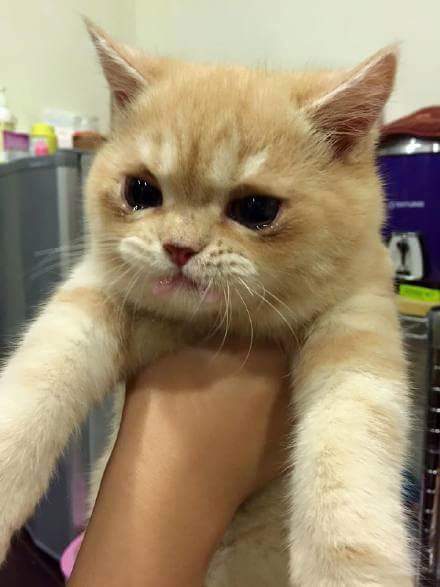 내가 한게 아니라고! | 인스티즈