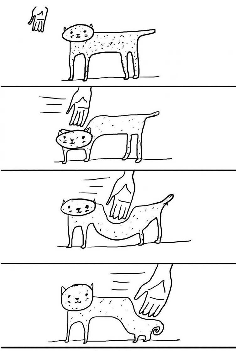 냥이 만질때 공감 | 인스티즈