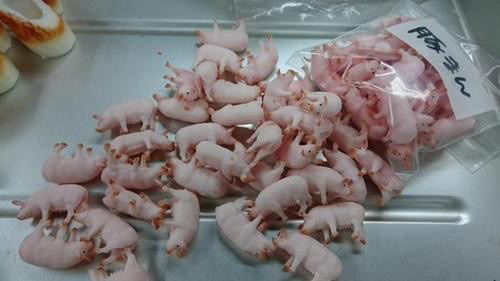 너무나 리얼해서 잘 안팔린다는 일본의 소시지 | 인스티즈