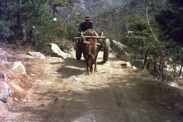 1969년 한국의 일상.jpg | 인스티즈