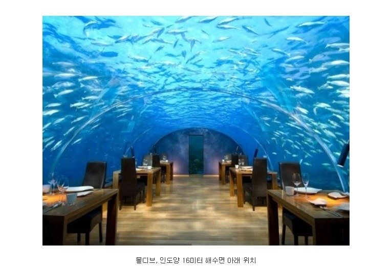 지구촌 특이한 레스토랑들.jpg | 인스티즈