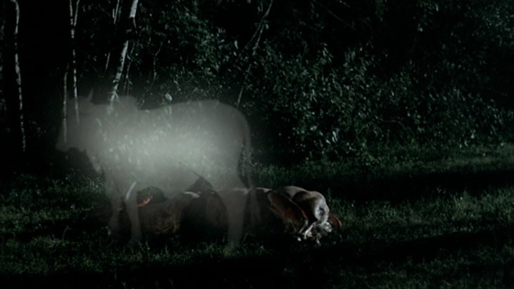 주관적으로 뽑은 역대 최고의 영화 BEST 100 | 인스티즈