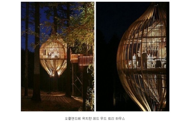 지구촌 특이한 레스토랑들.jpg | 인스티즈