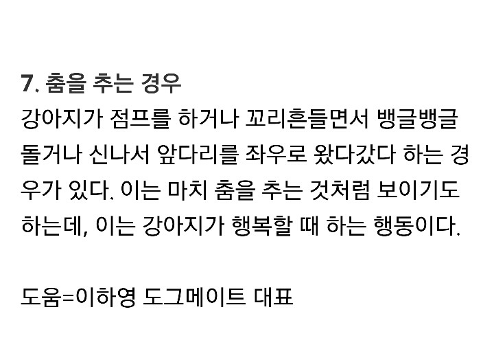 당신의 애완견이 웃고있다는 증거 7가지 | 인스티즈