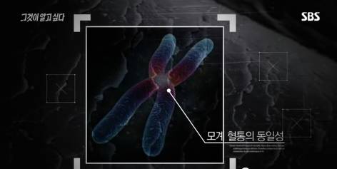 그것이알고싶다 비극의상견례 4편 (마지막) | 인스티즈