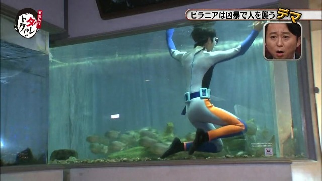 흉폭하고 사람을 씹어먹는 걸로 알려진 피라냐에 대한 진.실. 두둥 (일본예능캡쳐) | 인스티즈