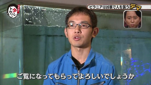 흉폭하고 사람을 씹어먹는 걸로 알려진 피라냐에 대한 진.실. 두둥 (일본예능캡쳐) | 인스티즈