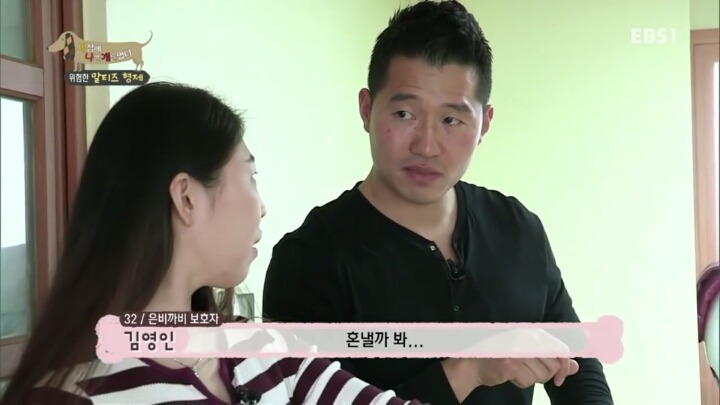 공격적인 반려견이 되는 이유 2부.jp | 인스티즈