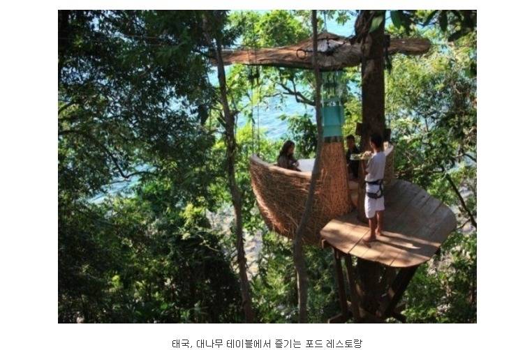 지구촌 특이한 레스토랑들.jpg | 인스티즈