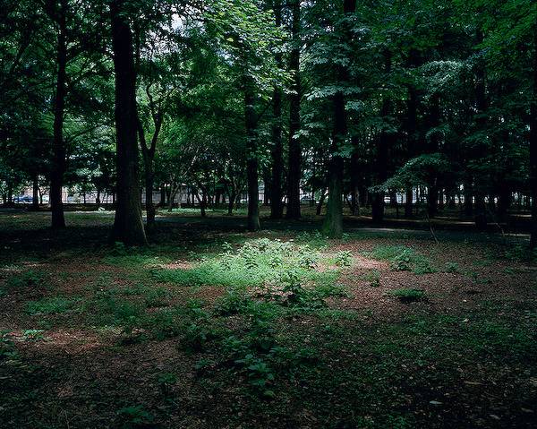 일본특유의 색감과 뉴욕의 미니멀리즘을 모두 가진 작가. jpg | 인스티즈