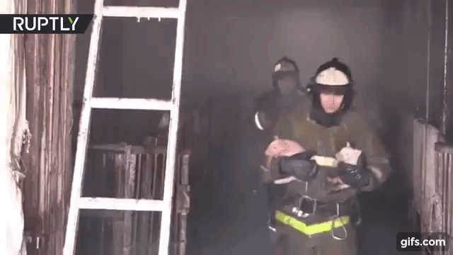새끼돼지 구출하는 소방관들.gif | 인스티즈