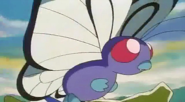 포켓몬스터) 단데기에서 버터플로 진화하는거 캡쳐 | 인스티즈