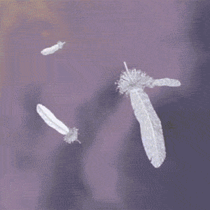 魔法少女 / BGM | 인스티즈