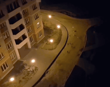 레이저 포인트로 동네 고양이 능욕하기 | 인스티즈