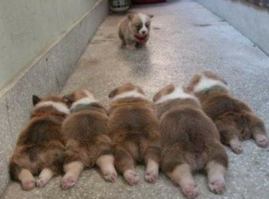 뒷모습 ㄷㄷㄷㄷㄷㄷ | 인스티즈