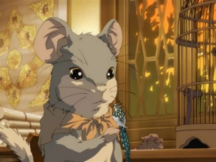 바다거북에 기생하는 따개비 | 인스티즈