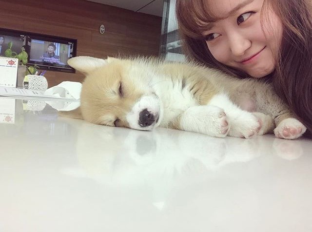 문지애가 노홍철에게 소개시켜 주고 싶다고 한 아나운서 | 인스티즈