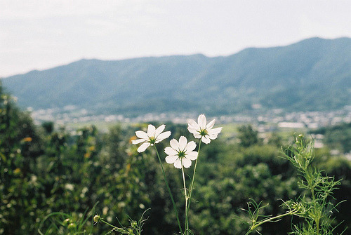 같이 있으면서도 늘 내것이지 못했던 사람아 | 인스티즈