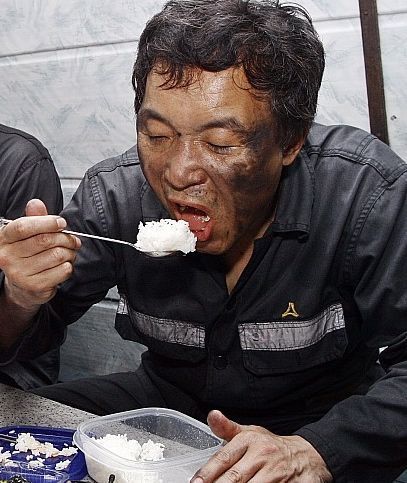 흙오이 사진 찾다가 지쳐서 흙오이 방지 사진들 찜 | 인스티즈