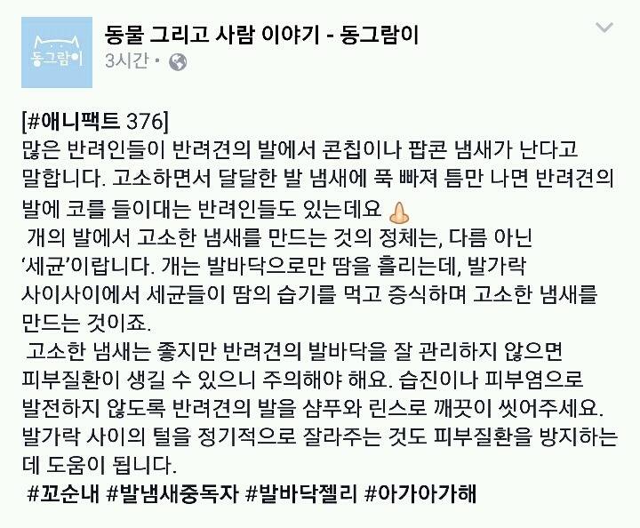개 발냄새가 고소한 이유 | 인스티즈