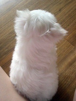 뒷모습 ㄷㄷㄷㄷㄷㄷ | 인스티즈