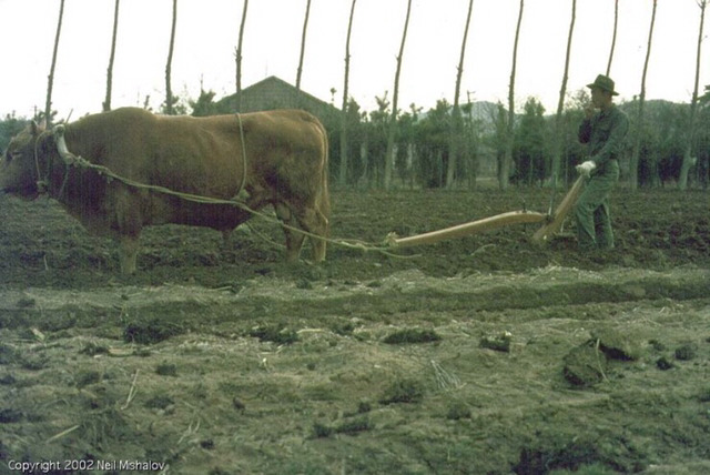 1969년 한국의 일상.jpg | 인스티즈