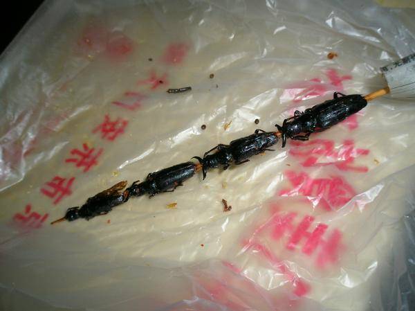 중국 벌레꼬치 리뷰! - 왕푸징거리 혐오음식 상세분석 (혐오주의) | 인스티즈