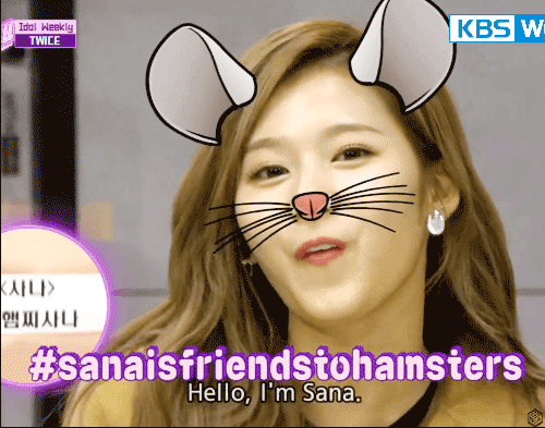 트와이스 사나를 알아보자 (원스 어서오고) | 인스티즈