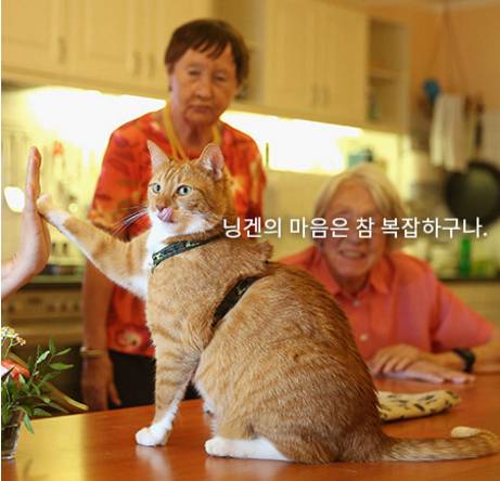 커피의 온도에 따라 호감 비호감이 갈린다면? | 인스티즈